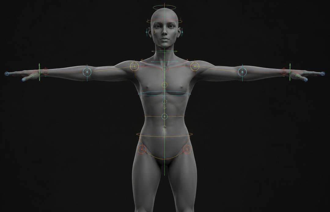 Character rigging